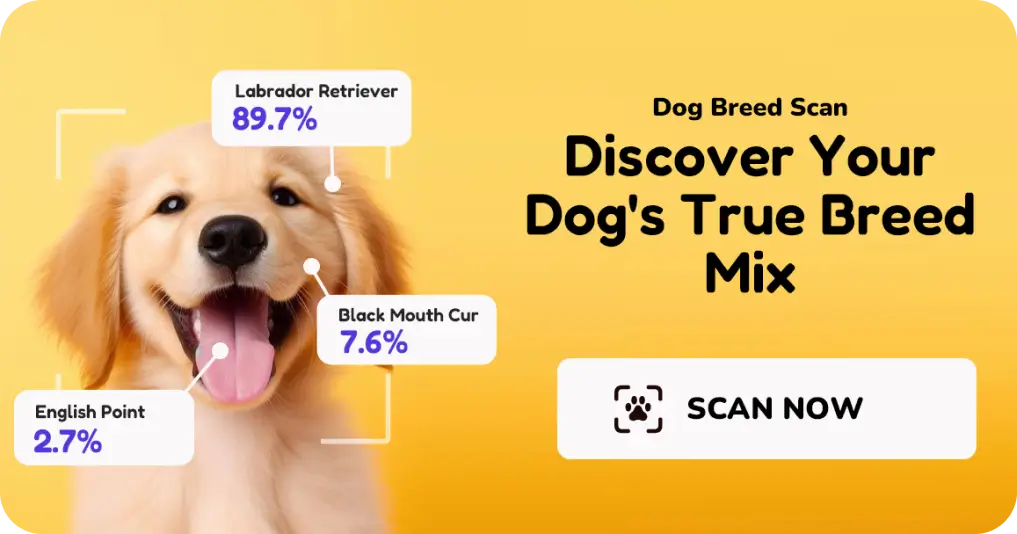 Dog Breed Scanner